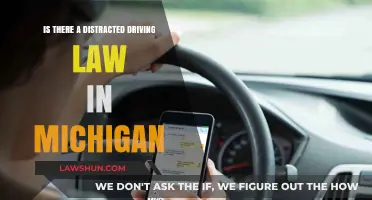 Michigan's Distracted Driving Laws: What You Need to Know