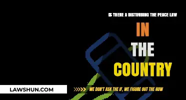 Disturbing the Peace Laws: Understanding Legal Boundaries in Your Country