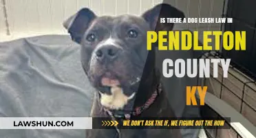 Understanding Pendleton County, KY's Dog Leash Law: What You Need to Know