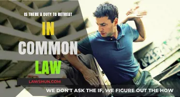 The Common Law: Duty to Retreat?
