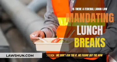 Labor Law Lunch Breaks: What Federal Rules Mandate?