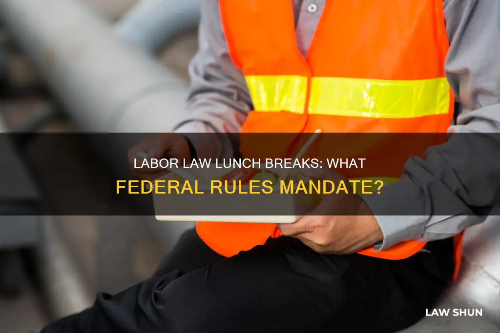 is there a federal labor law mandating lunch breaks