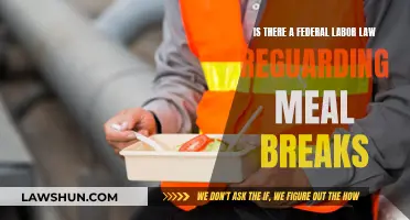 Federal Labor Law: Understanding Meal Break Regulations