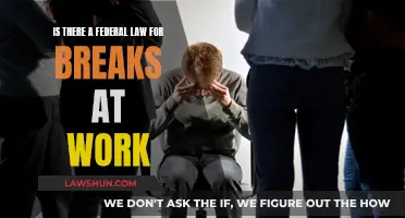 Federal Law on Work Breaks: What Employees Should Know