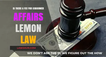 Understanding Lemon Law Fees: What Consumers Need to Know