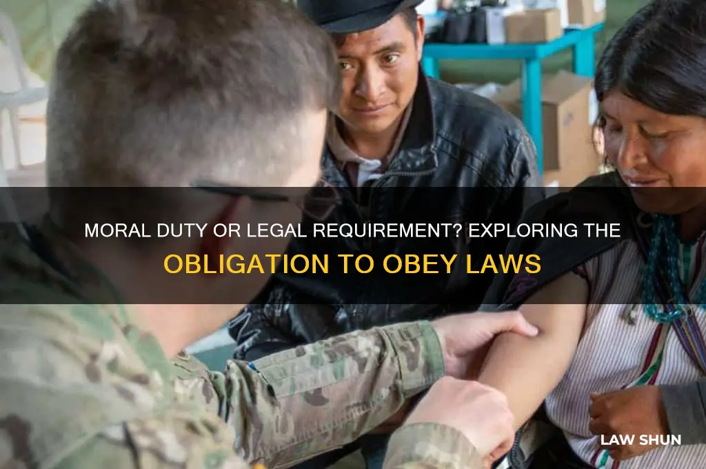 is there a general moral obligation to obey the law