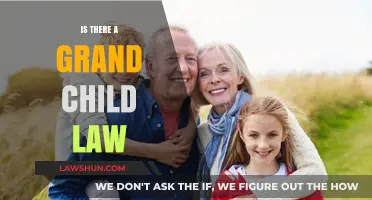 Understanding Grandchild Rights: Exploring Legal Protections and Family Dynamics
