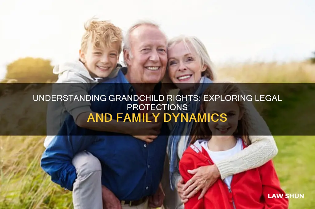 is there a grand child law