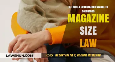 Does Colorado's Magazine Size Law Include a Grandfather Clause?