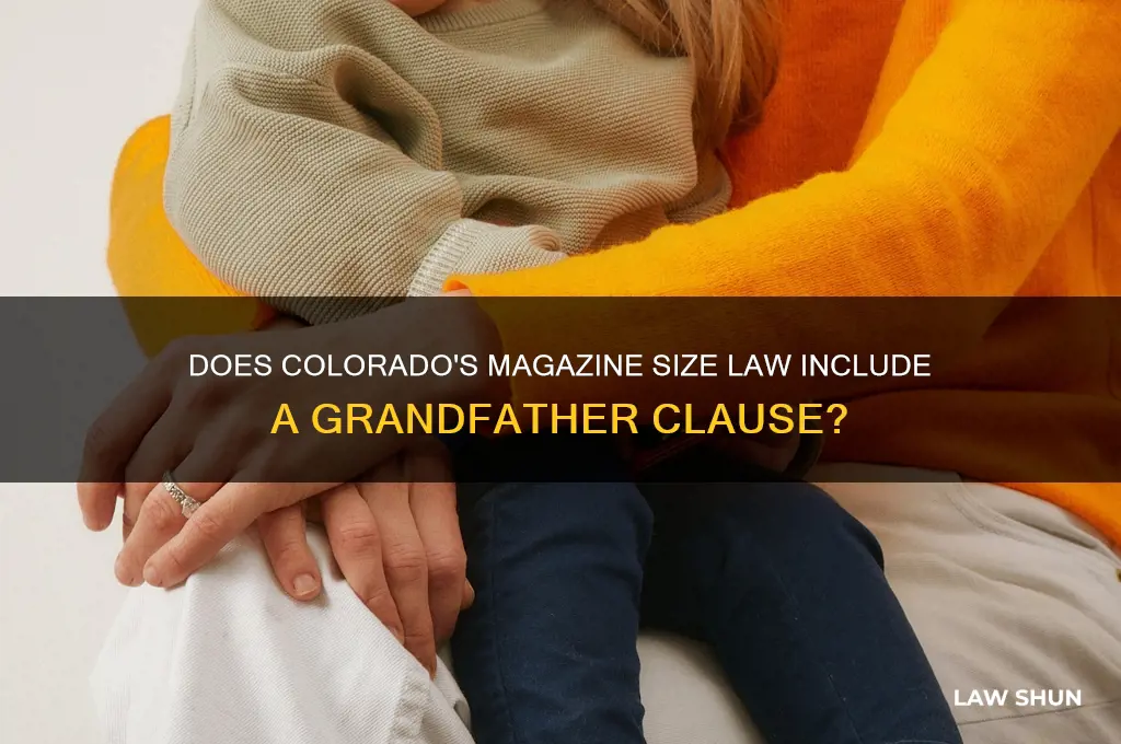 is there a grandfather clause to colorados magazine size law
