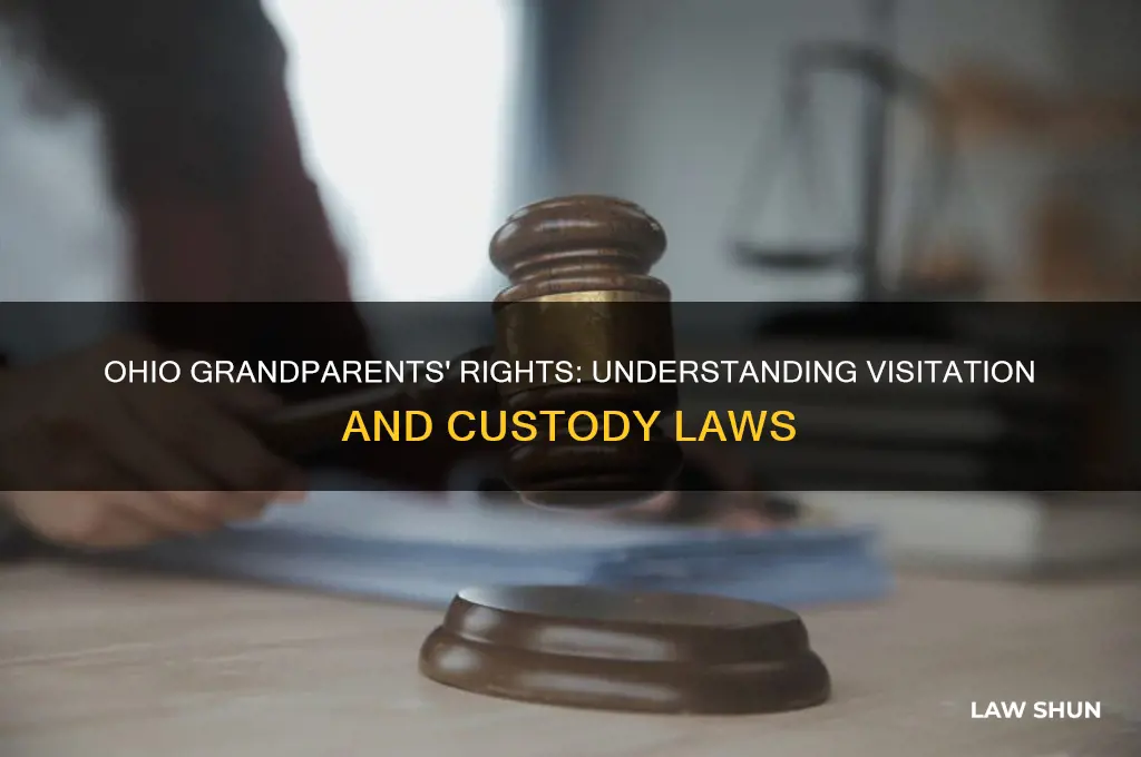 is there a grandparents law in ohio