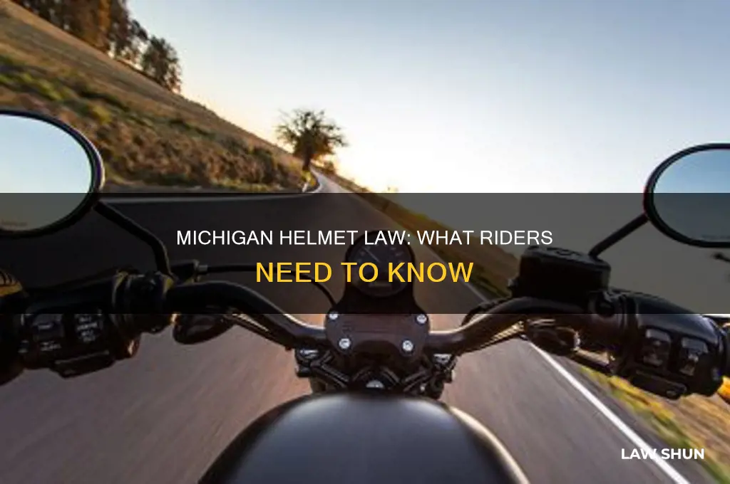 is there a helmet law in michigan