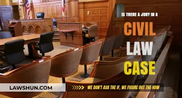 Civil Law Juries: When and Why?