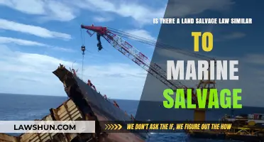 Land Salvage Laws: Exploring Legal Parallels to Marine Salvage Rights
