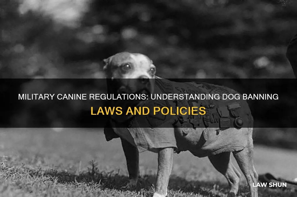 is there a law about dogs barring in the military