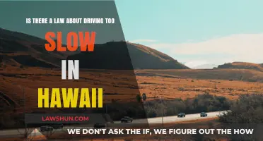 Driving Too Slow in Hawaii: Legal Consequences and Road Safety