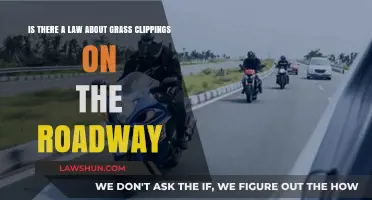 Grass Clippings on Roadways: Legal Implications and Safety Concerns