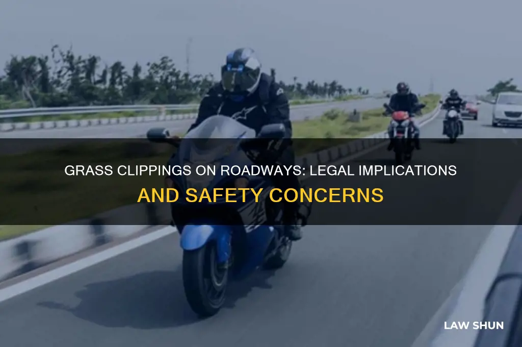 is there a law about grass clippings on the roadway