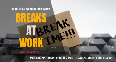 Understanding Work Break Laws: Your Rights Explained