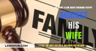 Can a Husband Testify Against His Wife? Legal Insights