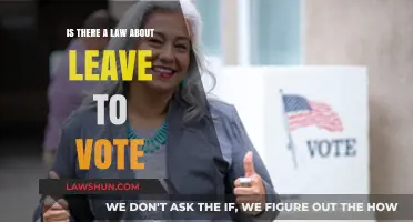 Voting Rights and Work: Understanding Leave Laws for Election Day