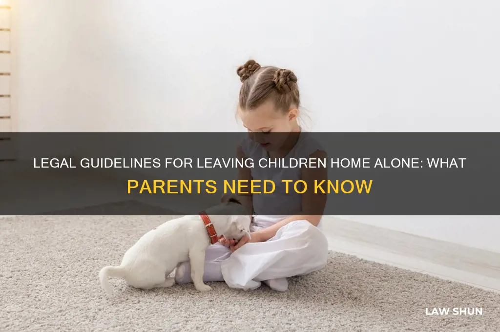 is there a law about leaving a child home alone