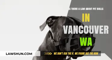 Vancouver WA Pit Bull Laws: What Owners Need to Know