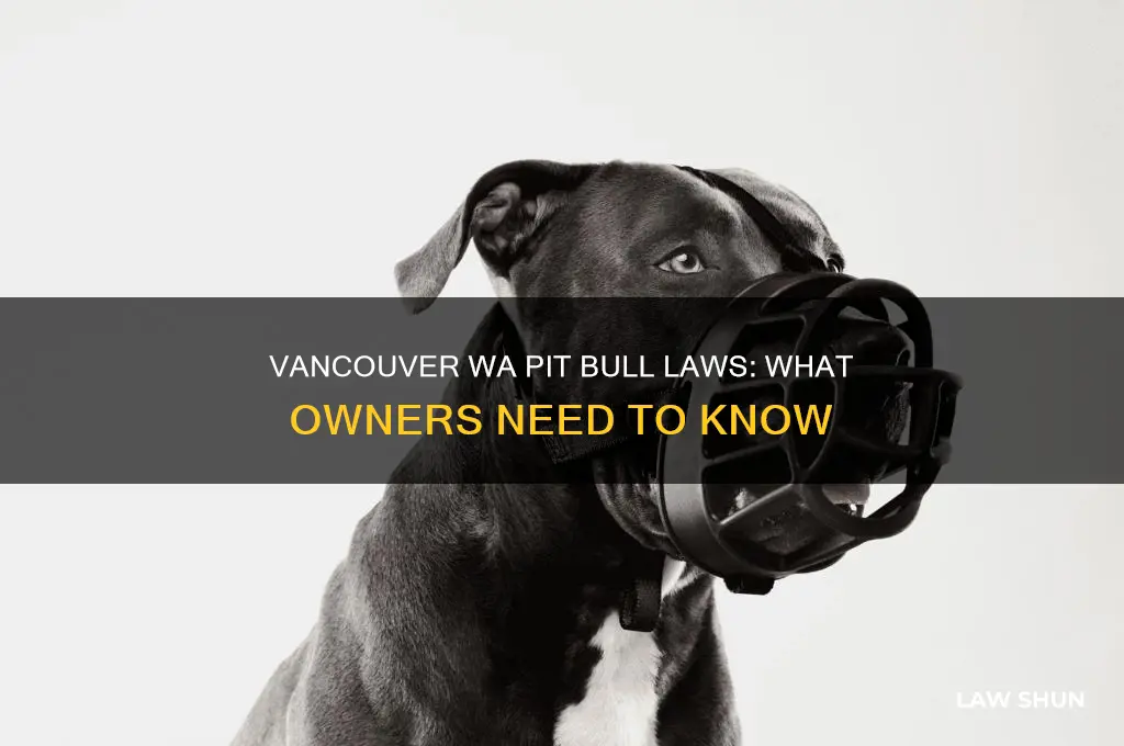 is there a law about pit bulls in vancouver wa