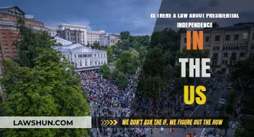 Presidential Independence: Legal Boundaries in U.S. Constitutional Framework
