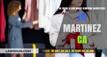 Martinez, CA Shoplifting Laws: Can You Stop Shoplifters Legally?