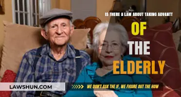 Exploiting the Elderly: Legal Protections Against Financial Abuse