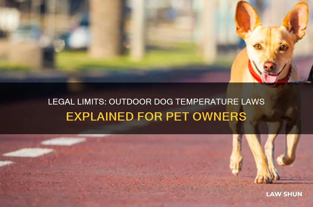 is there a law about the temperature for dogs outside