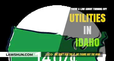 Idaho Utility Shut-Off Laws: What Tenants and Landlords Need to Know