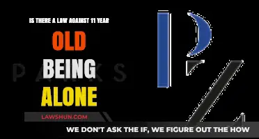 Legal Age for Unsupervised Children: Can an 11-Year-Old Stay Alone?