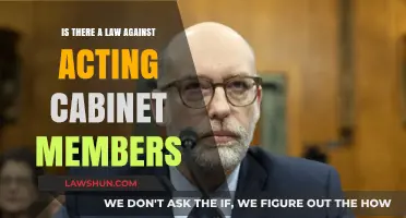 Are Acting Cabinet Members Legally Protected? Exploring the Legal Landscape