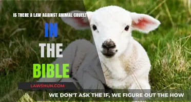 Biblical Perspectives on Animal Cruelty: Exploring Laws and Compassion