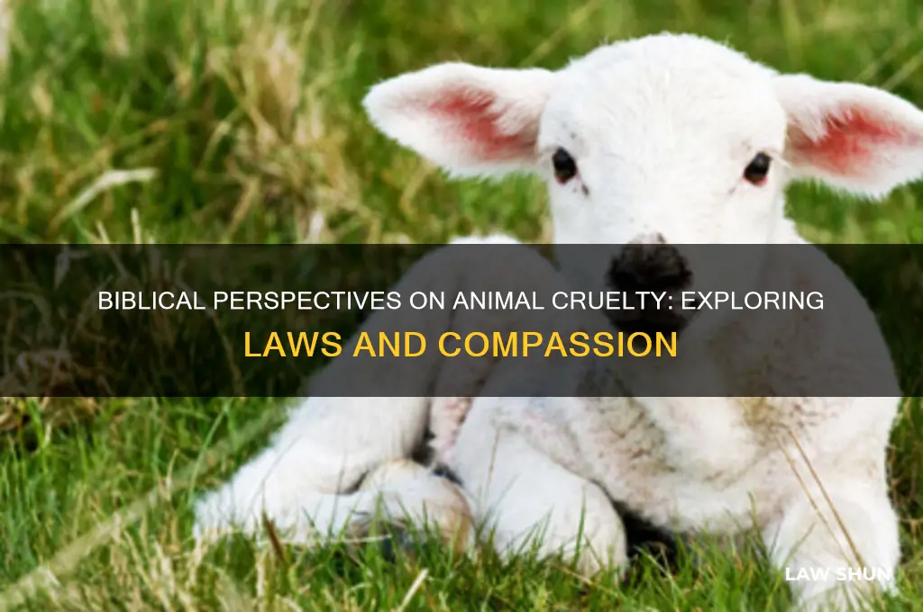 is there a law against animal cruelty in the bible