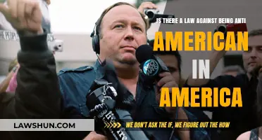 Is Anti-American Sentiment Protected by Free Speech Laws in the U.S.?