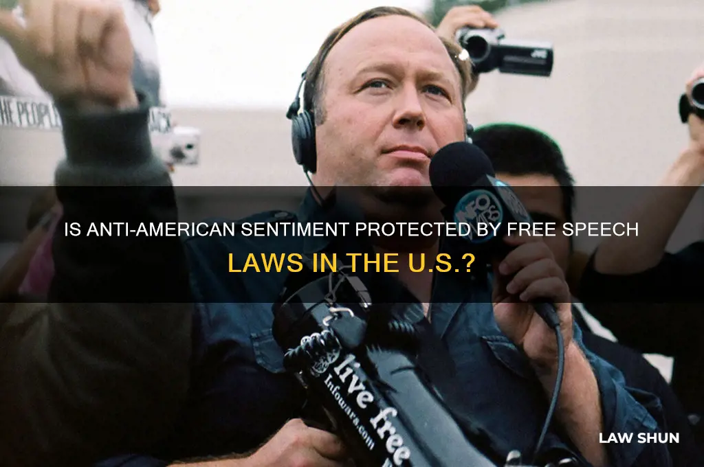 is there a law against being anti american in america