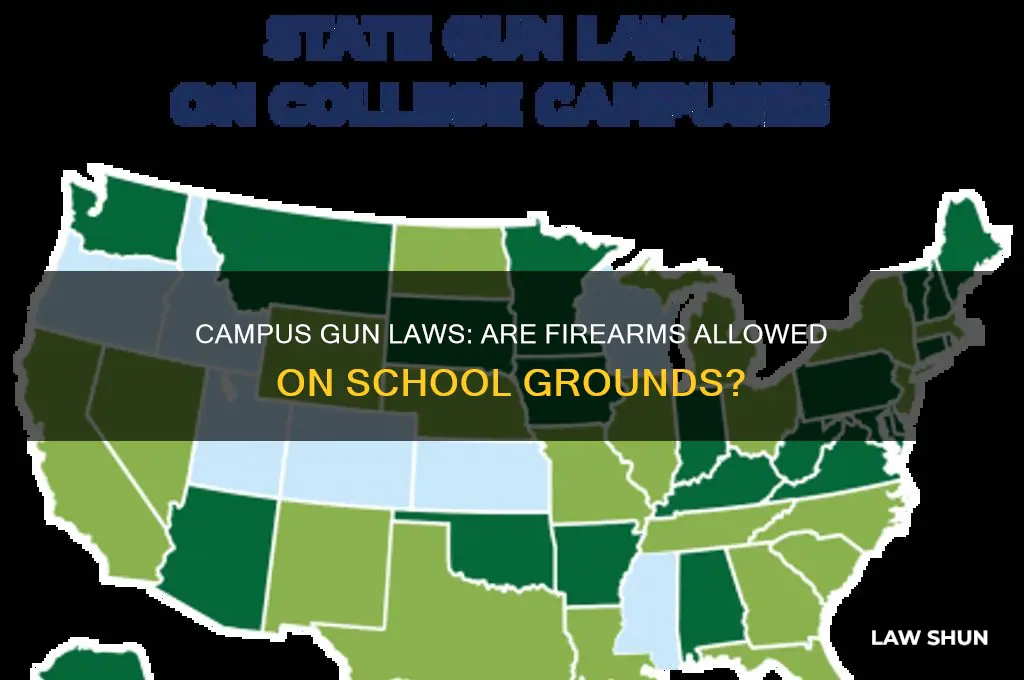 is there a law against carrying a firearm on campuses