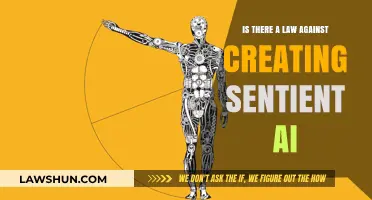 Creating Sentient AI: Legal and Ethical Conundrums
