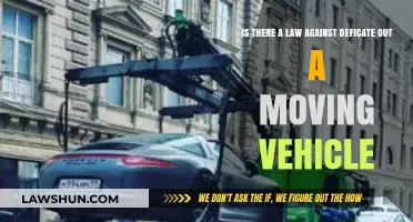 Legal Consequences of Defecating from a Moving Vehicle: What You Need to Know
