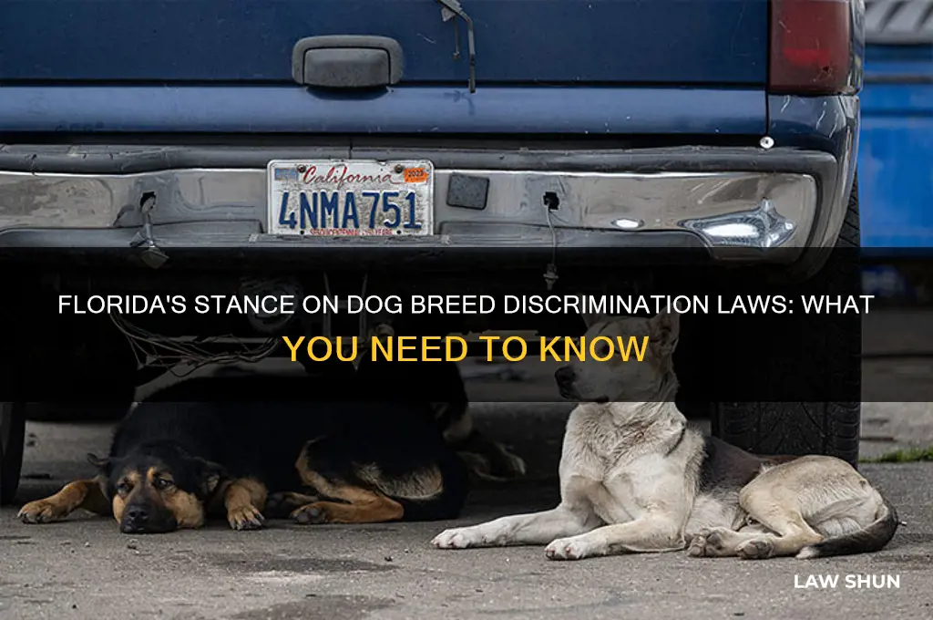 is there a law against dog breed discrimination in flirida
