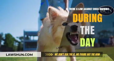 Can Dogs Bark During the Day? Legal Insights for Pet Owners