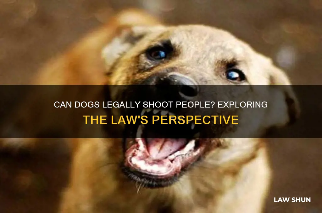 is there a law against dogs shooting people