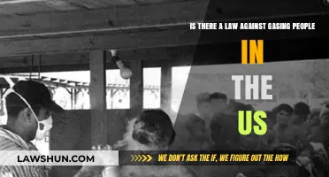 Is Gassing People Legal? Understanding US Laws on Toxic Substances
