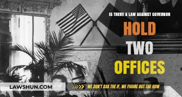 Can Governors Legally Hold Two Offices? Exploring Dual Roles and Laws
