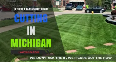 Michigan Grass Cutting Laws: What You Need to Know