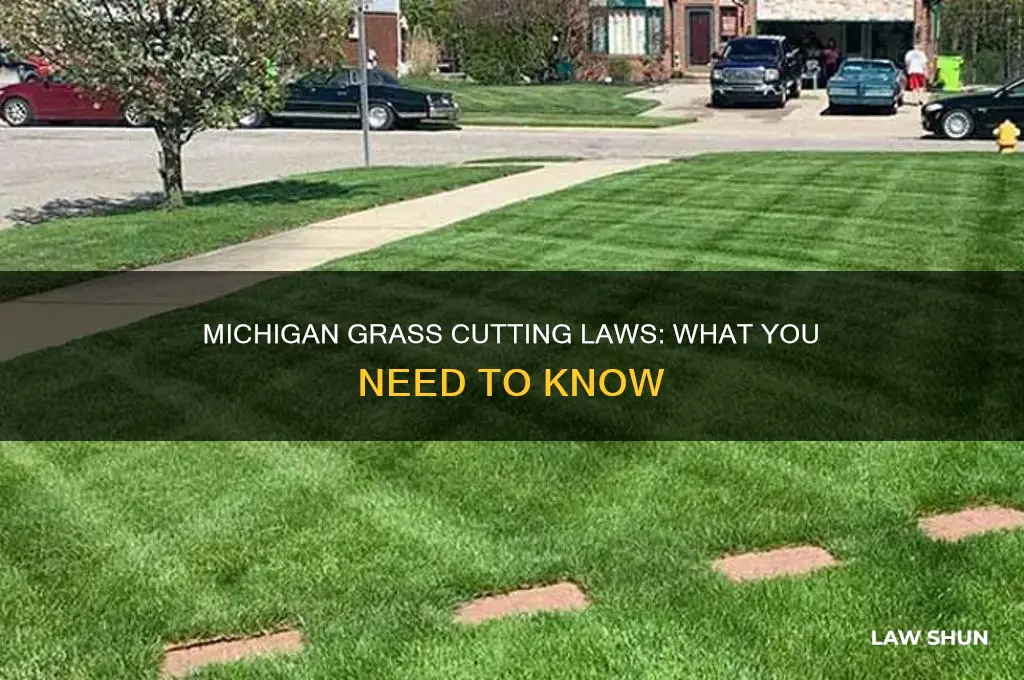 is there a law against grass cutting in michigan
