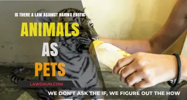 Exotic Pets: Legal or Illegal? Understanding Wildlife Ownership Laws